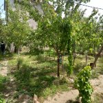 Satılır 4 otaqlı Bağ evi, Goradil, Abşeron rayonu 15