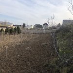 Satılır Torpaq, Maştağa qəs., Sabunçu rayonu 5