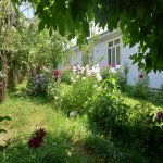 Kirayə (günlük) 3 otaqlı Həyət evi/villa Qəbələ 2