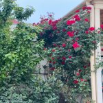 Satılır 6 otaqlı Həyət evi/villa, Novxanı, Abşeron rayonu 22