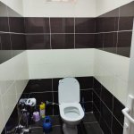 Kirayə (günlük) 4 otaqlı Bağ evi İsmayıllı 19