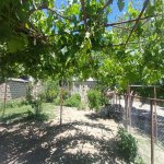 Продажа 3 комнатная Дома/Виллы, пос. Бинагяди, Бинагадинский р-н район 21