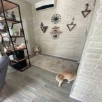 Kirayə (aylıq) 3 otaqlı Bağ evi, Novxanı, Abşeron rayonu 9