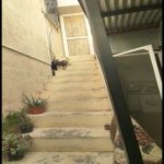 Satılır 5 otaqlı Həyət evi/villa, İçərişəhər metrosu, Səbail rayonu 12