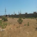 Satılır Torpaq, Saray, Abşeron rayonu 5