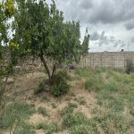 Satılır Torpaq, Maştağa qəs., Sabunçu rayonu 4