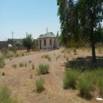 Satılır Torpaq, Saray, Abşeron rayonu 24
