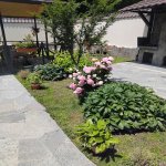 Kirayə (günlük) 3 otaqlı Həyət evi/villa Qax 6