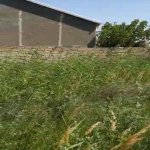 Satılır Torpaq, Nardaran qəs., Sabunçu rayonu 4