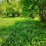 Продажа Участок Гябяля 8