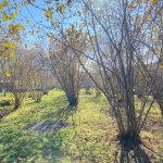 Продажа Участок Гябяля 9