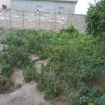 Satılır Torpaq, Mərdəkan, Xəzər rayonu 13