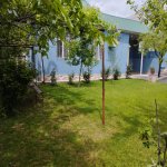 Kirayə (günlük) 3 otaqlı Həyət evi/villa Qəbələ 2