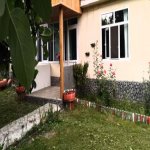 Kirayə (günlük) 3 otaqlı Bağ evi Qəbələ 15