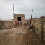 Satılır Torpaq, Biləcəri qəs., Binəqədi rayonu 5