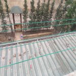 Kirayə (aylıq) 1 otaqlı Köhnə Tikili, İnşaatçılar metrosu, Yasamal rayonu 4