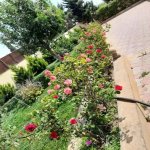 Satılır 10 otaqlı Həyət evi/villa, Pirallahı rayonu 26