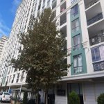 Satılır 2 otaqlı Yeni Tikili, Nəriman Nərimanov metrosu, Nərimanov rayonu 10