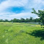 Продажа Участок Гябяля 7