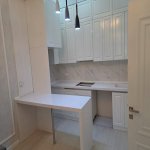 Kirayə (aylıq) 2 otaqlı Yeni Tikili, Gənclik metrosu, Nəsimi rayonu 4