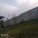 Kirayə (günlük) 2 otaqlı Həyət evi/villa Qəbələ 8