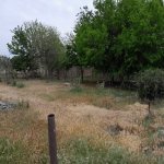 Satılır Torpaq, Ramana qəs., Sabunçu rayonu 7