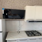 Kirayə (aylıq) 1 otaqlı Yeni Tikili, 28 May metrosu, Nəsimi rayonu 8