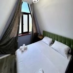 Kirayə (günlük) 3 otaqlı Həyət evi/villa Qəbələ 10