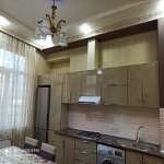 Kirayə (günlük) 3 otaqlı Yeni Tikili, 28 May metrosu, Kubinka, Nəsimi rayonu 8