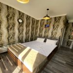 Kirayə (günlük) 5 otaqlı Həyət evi/villa Qəbələ 14