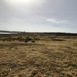 Satılır Torpaq, Novxanı, Abşeron rayonu 2