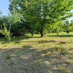 Kirayə (günlük) 5 otaqlı Həyət evi/villa İsmayıllı 11