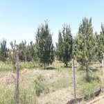 Satılır Torpaq Quba 11