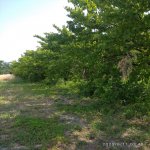 Satılır Torpaq Xaçmaz 7