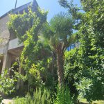 Satılır 11 otaqlı Həyət evi/villa, Azadlıq metrosu, Rəsulzadə qəs., Binəqədi rayonu 4