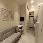 Аренда 1 комнатная Вторичка, м. Ичяришяхяр метро, Сябаиль район 1