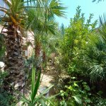 Satılır 8 otaqlı Həyət evi/villa, Binə qəs., Xəzər rayonu 27