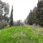 Satılır Torpaq, Nardaran qəs., Sabunçu rayonu 1