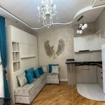 Kirayə (aylıq) 1 otaqlı Yeni Tikili, 28 May metrosu, Nərimanov rayonu 4
