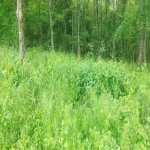 Продажа Участок Гусар 2