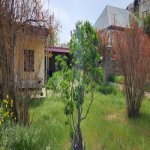 Продажа Участок, пос. Бадамдар, Сябаиль район 3