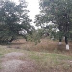 Satılır Torpaq Quba 1
