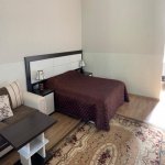 Kirayə (günlük) 1 otaqlı Həyət evi/villa Qəbələ 12