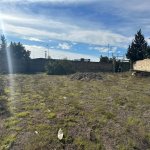 Satılır Torpaq, Şağan, Xəzər rayonu 5