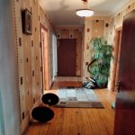 Kirayə (aylıq) 3 otaqlı Yeni Tikili Xırdalan 8