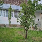 Посуточно 4 комнат Дома/Виллы Шеки 3