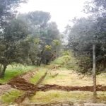 Satılır Torpaq, Nəsimi metrosu, 6-cı mikrorayon, Binəqədi rayonu 3