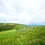 Продажа Участок Шамаха 14