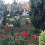 Kirayə (aylıq) 5 otaqlı Bağ evi, Şüvəlan, Xəzər rayonu 3