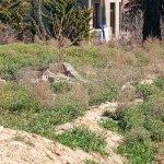 Satılır Torpaq, Xalqlar dostluğu metrosu, Qaraçuxur qəs., Suraxanı rayonu 20